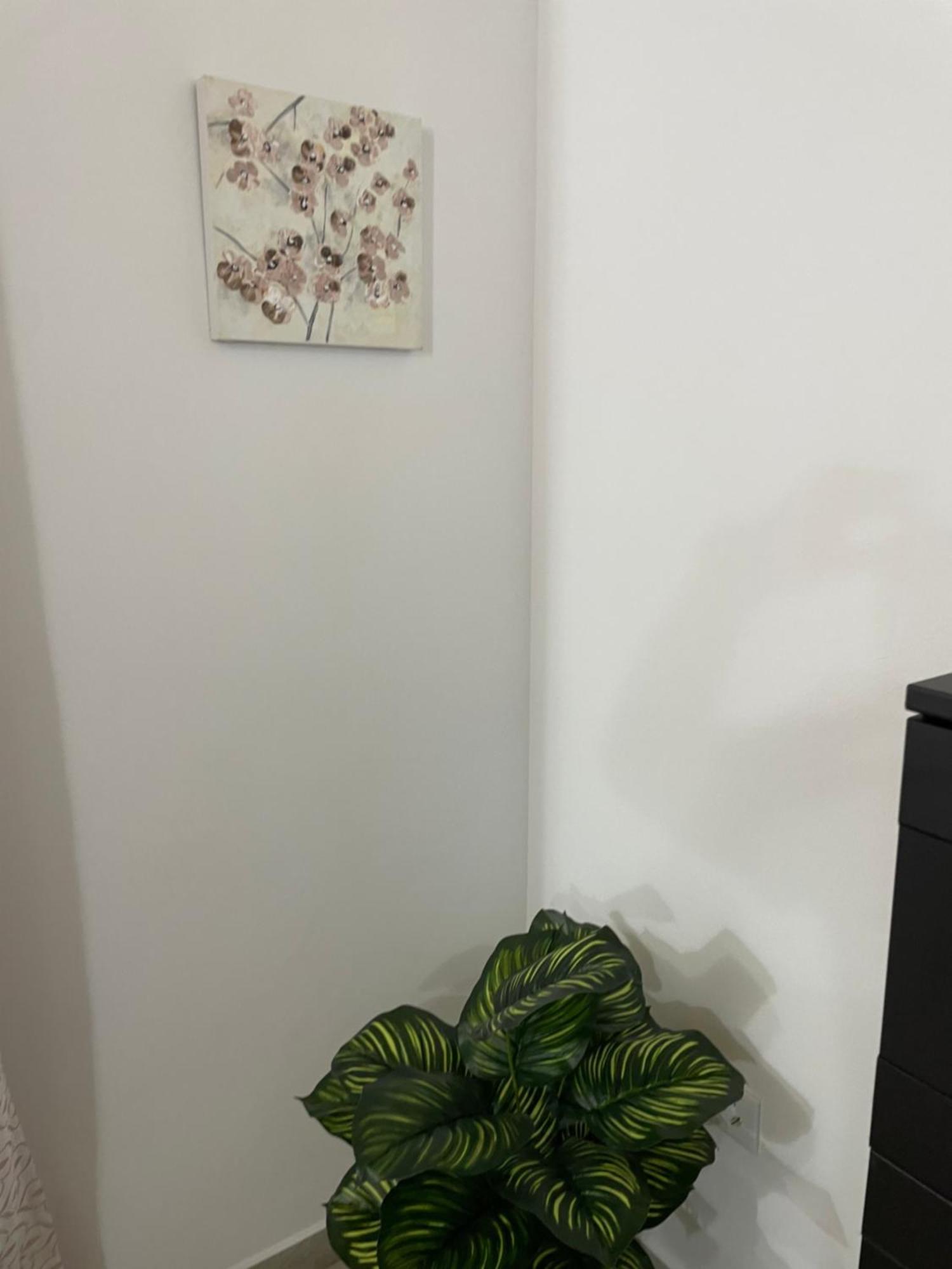 Casa Delia Apartment Bornos Ngoại thất bức ảnh