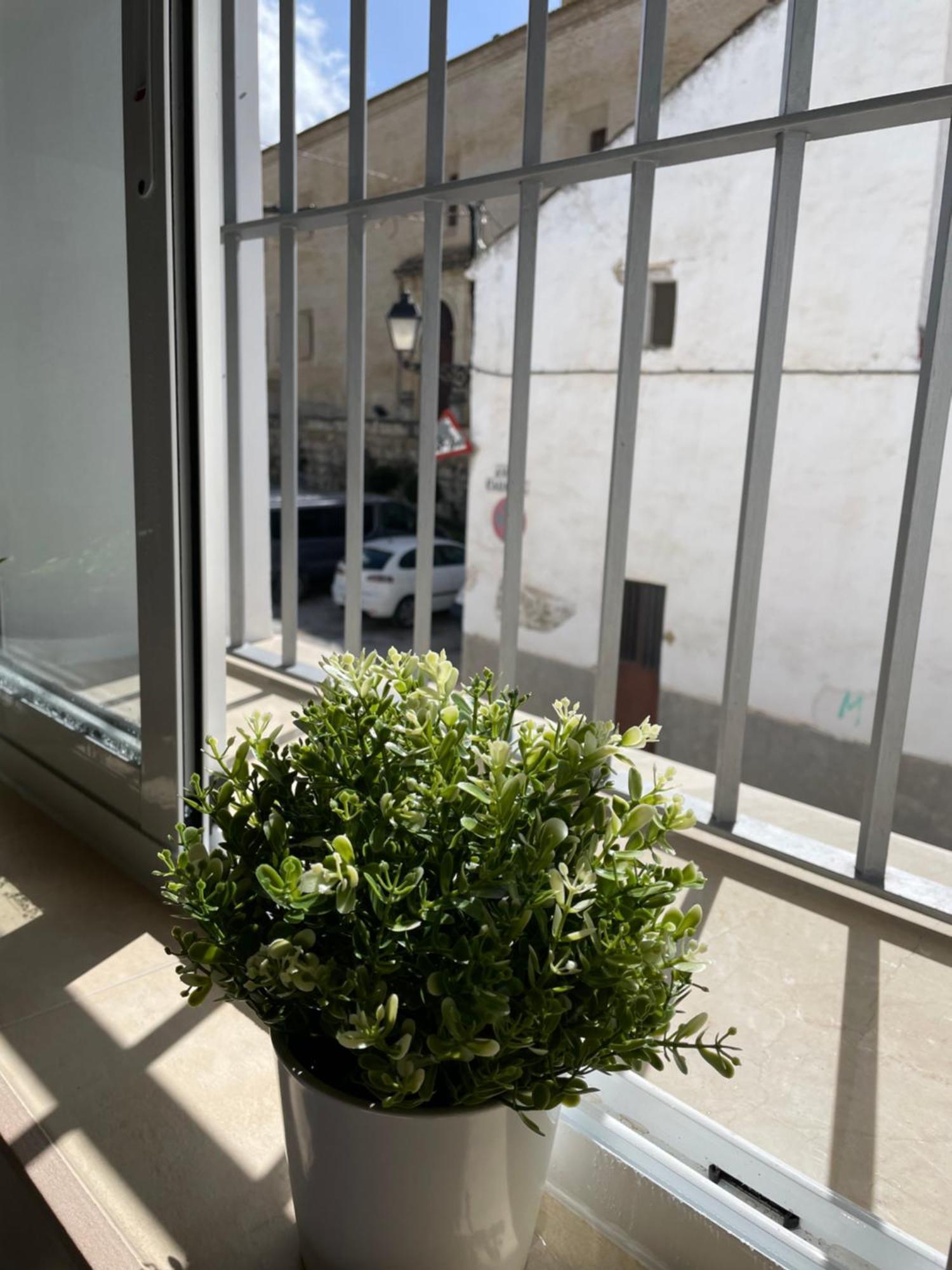 Casa Delia Apartment Bornos Ngoại thất bức ảnh